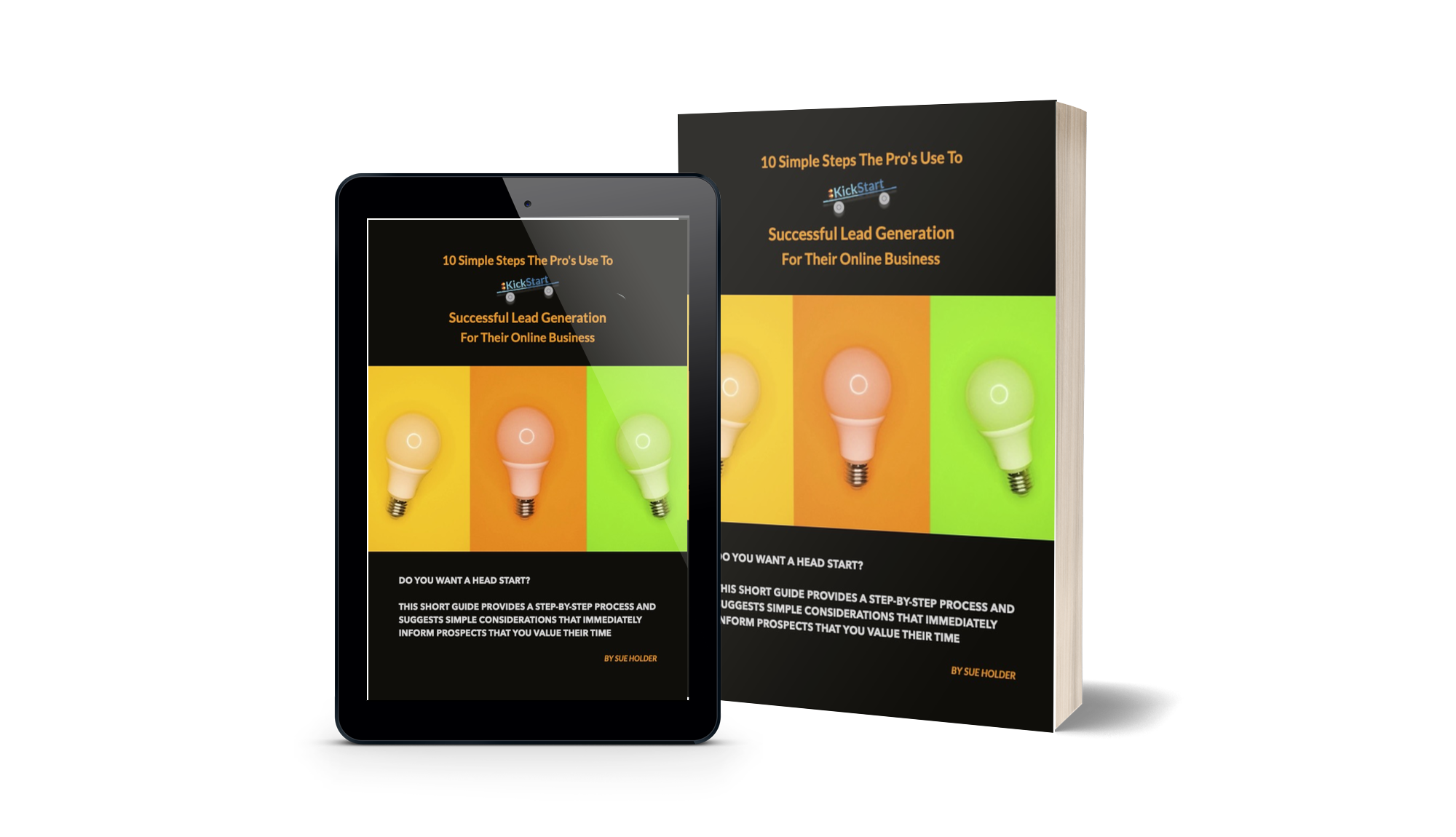 10 Simple Steps The Pro's Use To KickStart Lead Generation For Their Online Business eBook
